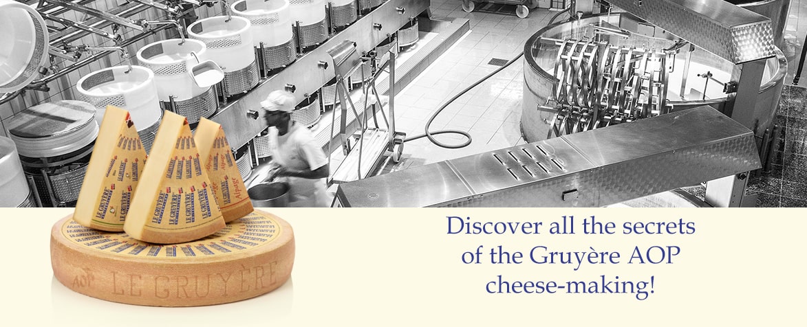 Discover all the secrets of the Gruyère AOP cheese-making production