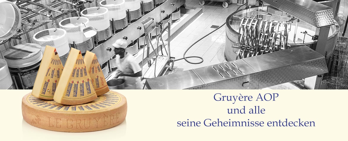 Gruyère AOP und alle seine Geheimnisse entdecken