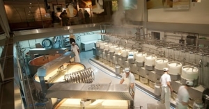 Factory manufacture of Gruyère AOP
