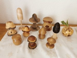 champignons