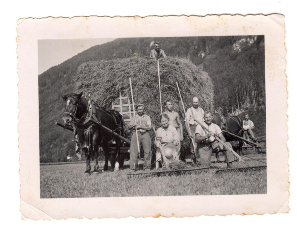 Savary les foins au Pont
